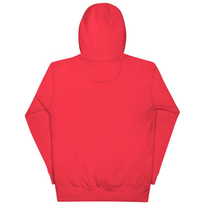 Back view of unisex premium red pullover hoodie with hood, plain vibrant streetwear